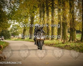 Balade d’automne Moerzeke photo