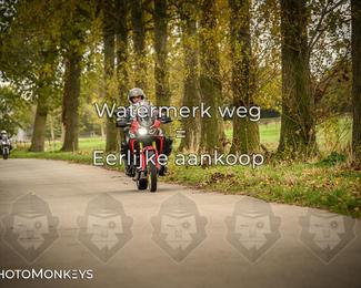 Herfstrit Moerzeke photo