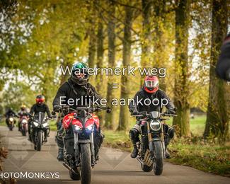 Herfstrit Moerzeke photo