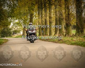 Herfstrit Moerzeke photo