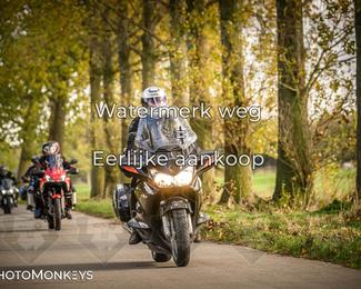 Herfstrit Moerzeke photo