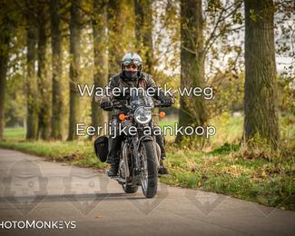 Herfstrit Moerzeke photo