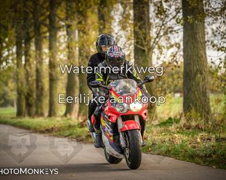 Herfstrit Moerzeke photo