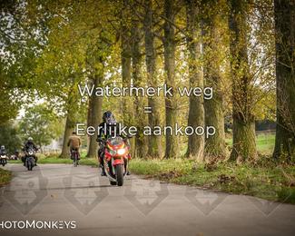 Herfstrit Moerzeke photo