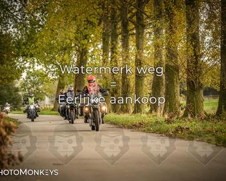 Herfstrit Moerzeke photo