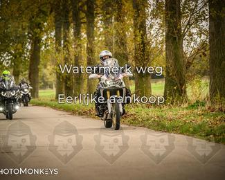 Herfstrit Moerzeke photo