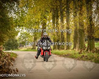 Herfstrit Moerzeke photo