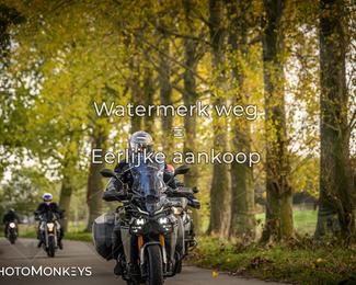 Herfstrit Moerzeke photo