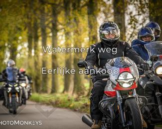 Herfstrit Moerzeke photo