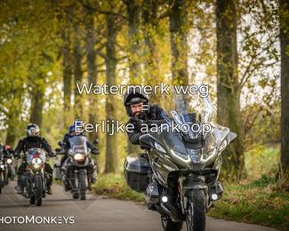 Herfstrit Moerzeke photo