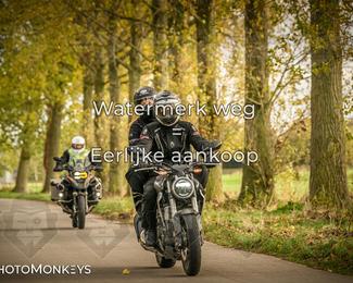 Herfstrit Moerzeke photo