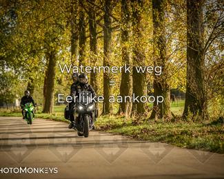 Herfstrit Moerzeke photo