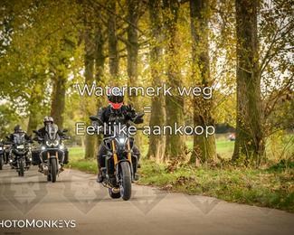 Herfstrit Moerzeke photo