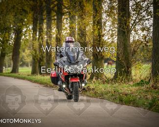 Herfstrit Moerzeke photo