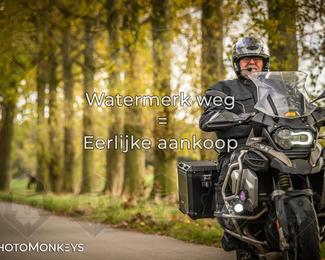 Herfstrit Moerzeke photo