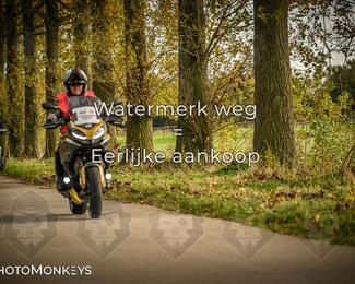 Herfstrit Moerzeke photo