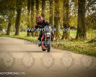 Herfstrit Moerzeke photo