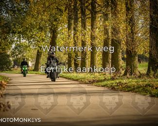 Herfstrit Moerzeke photo