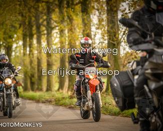 Herfstrit Moerzeke photo