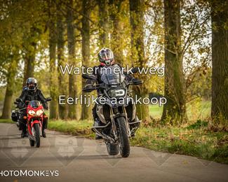 Herfstrit Moerzeke photo