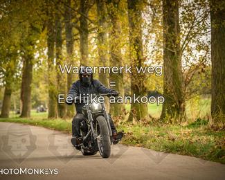 Herfstrit Moerzeke photo