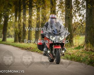 Herfstrit Moerzeke photo