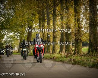 Herfstrit Moerzeke photo