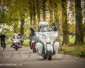 Herfstrit Moerzeke photo