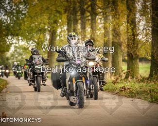 Herfstrit Moerzeke photo