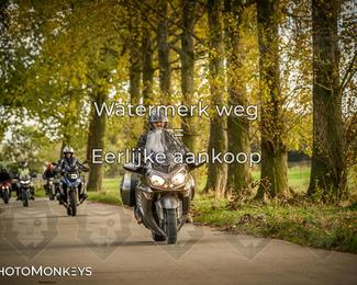 Herfstrit Moerzeke photo