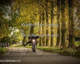 Herfstrit Moerzeke photo