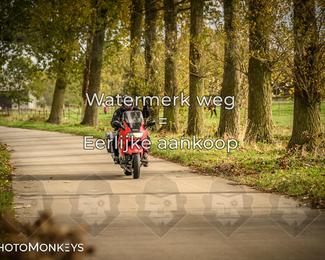 Herfstrit Moerzeke photo