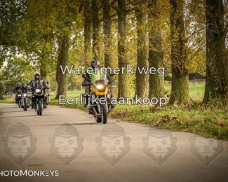 Herfstrit Moerzeke photo