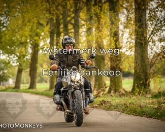 Herfstrit Moerzeke photo