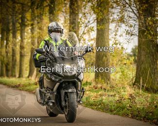 Herfstrit Moerzeke photo