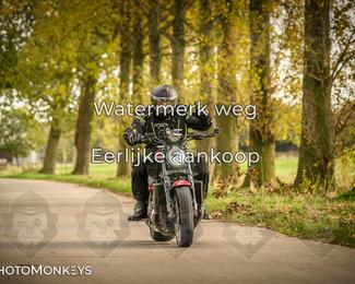 Herfstrit Moerzeke photo