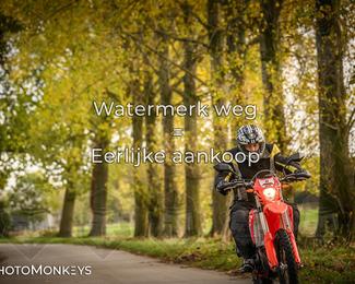 Autumn Ride Moerzeke photo