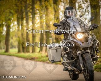 Herfstrit Moerzeke photo