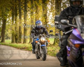 Herfstrit Moerzeke photo