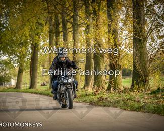 Herfstrit Moerzeke photo