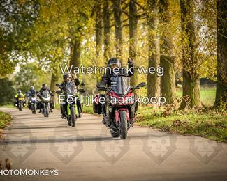 Herfstrit Moerzeke photo