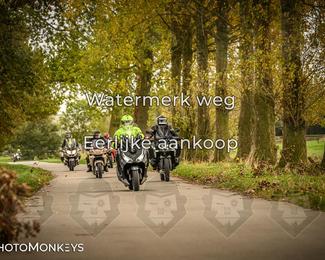 Herfstrit Moerzeke photo