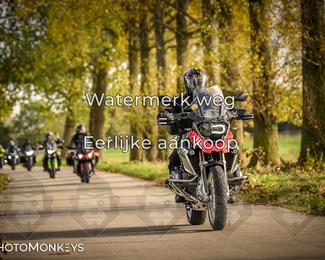 Herfstrit Moerzeke photo