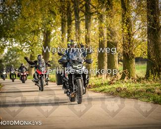 Herfstrit Moerzeke photo