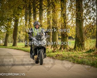 Herfstrit Moerzeke photo