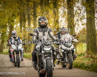 Herfstrit Moerzeke photo