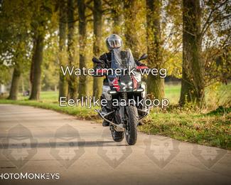 Herfstrit Moerzeke photo