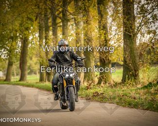 Herfstrit Moerzeke photo