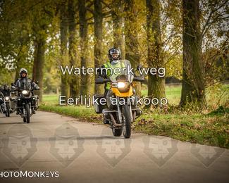 Herfstrit Moerzeke photo