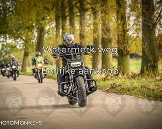 Herfstrit Moerzeke photo